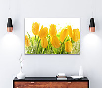 Obraz Žlté tulipány 1543